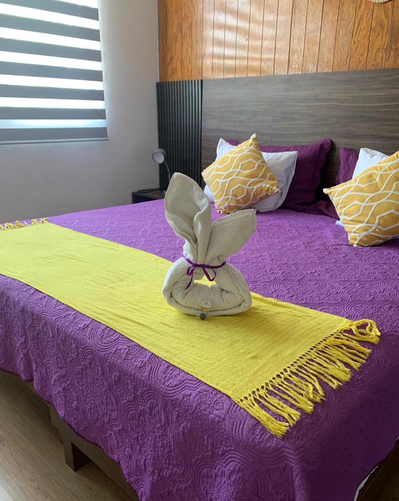 Pino Apartment Oaxaca Kültér fotó